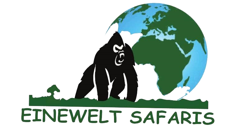 Welcome to Einewelt Safaris