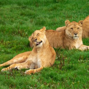 Queen Elizabeth National Park